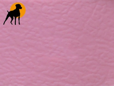 Preview: Biothane BETA Halsband 35cm x 19mm, Rosa