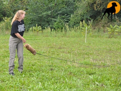 Running Rabbit Dummy mit Kaninchenfell