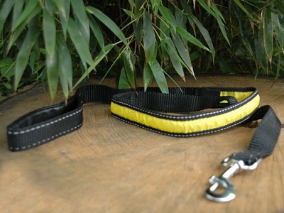 Flash-Lead Sicherheitsleine 25mm x 120cm, beleuchtet