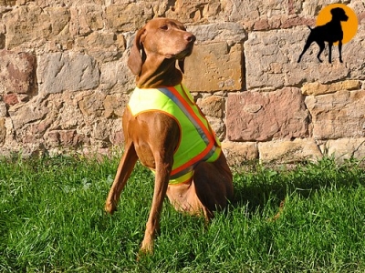 Akah Nylon Hundewarnweste mit Rückenöffnung, Gr. 3 (Stöberhunde), Signalgelb