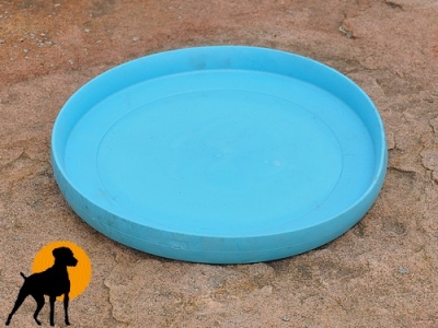 West Paw Frisbee ZISC, 22cm