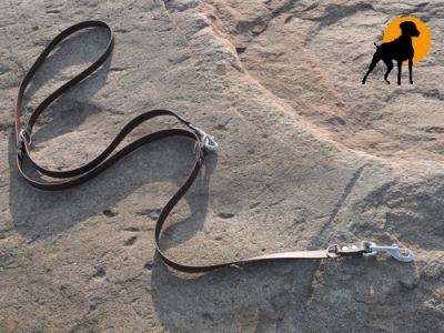 Biothane Beta Führleine 4-fach, 9mm x 265cm, Karabiner VC