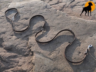Biothane Beta Führleine 4-fach, 9mm x 265cm, Karabiner VC