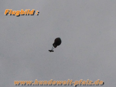 Preview: Mystique Dummy Ball Marker Ø ca. 7cm x 150g., Lila/Schwarz