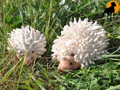 Plüsch-Igel Gr.1, 12cm