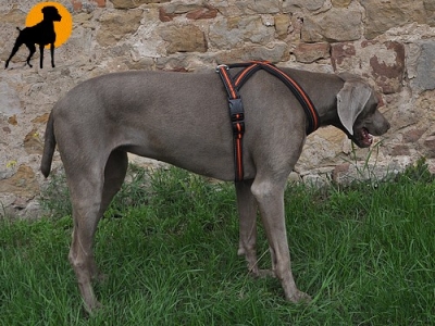 Trixie Fusion Kreuzgeschirr mit Neopren-Polsterung, Gr. L-XL