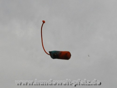 Preview: Mystique Long-Throw Dummy 250g, Rot