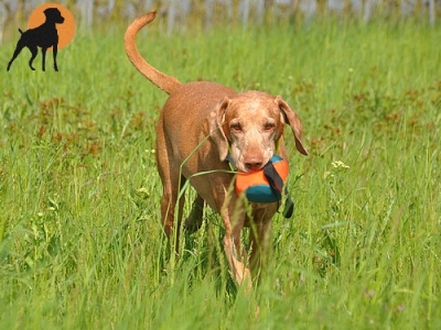 Nylon Outdoor-Spielball mit Wurfschlaufe, 15cm