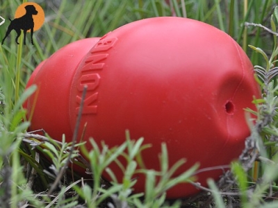 Preview: Kong Bounzer Medium