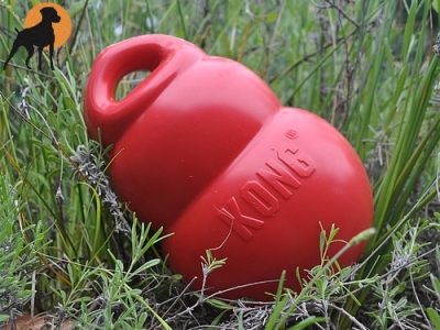 Preview: Kong Bounzer X-Large