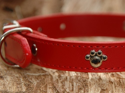 Lederhalsband "Pfote", Rot