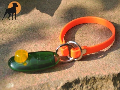 Biothane Beta Clickerarmband 12mm