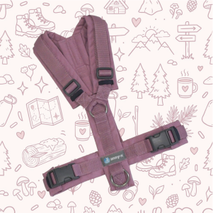 annyX Brustgeschirr Fun, Rosenholz (Trendfarbe 2026)
