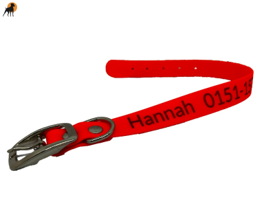 Preview: Biothane Beta Halsband Classic 1, mit Lasergravur, Breite: 25mm