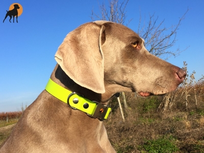 HWP Biothane Beta Maßhalsband 25mm mit Alu-Verschluß