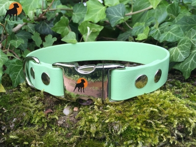 HWP Biothane Beta Maßhalsband 25mm mit Alu-Verschluß
