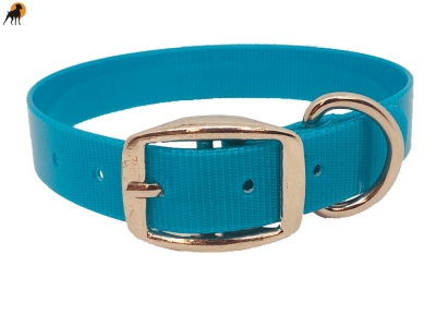 Biothane Gold Transculent Halsband Classic, Dornschnalle rund, Breite: 25mm