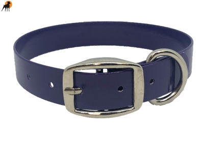 Biothane Gold Transculent Halsband Classic, Dornschnalle rund, Breite: 25mm