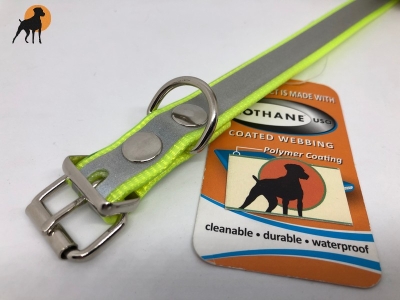 Biothane Reflect Warnhalsband Basic, Breite: 19mm