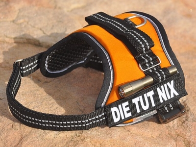 Equest 4 Dogs Premium Logo-Geschirr, Größe S, versch. Farben