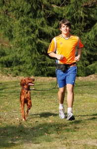 Doggy-Jogger Nylon-Bauchgurt mit flexibler Leine, schwarz
