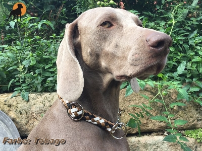 Tauwerk Halsband G2 Snap Sport 12mm, mit Schnellverschluß, Beschläge vernickelt