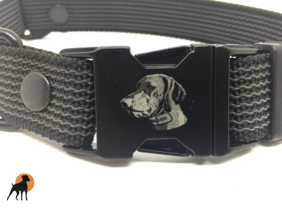 Halsband gummiert 25mm x 40-60cm, mit Metallverschluß, stufenlos verstellbar