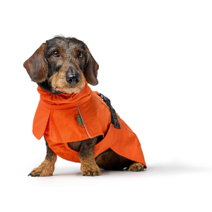 Hundemantel Nordby Dachshund, orange