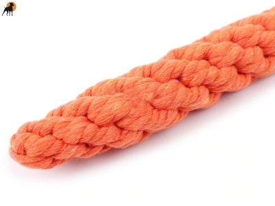 Tauwerk Bringsel Karotte, 22 x 3,5cm, Baumwolle