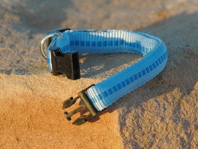 Preview: Koch Comfort Halsband, Gr.3, 25mm x 40-65cm, versch. Farben!!!