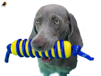 KONG® Jaxx Brights Stick 20 cm (ca. 33 cm Gesamtlänge mit Seil)