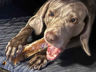 MARROWBAR Rinderkollagen-Kaustangen für Hunde, mit Kokos, Größe L