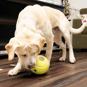 Preview: Hundespielzeug KONG® Rewards Tennis Leckerliespender
