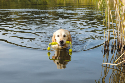 Preview: Ekard Lind Long-Mot 20cm, schwimmfähig