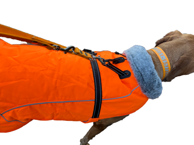 Hundemantel mit Plüsch-Kragen und Führgurt, Signalorange