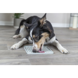 Preview: Trixie Lick'n'Snack Schleckmatte, Silikon, 20 × 20 cm, grau