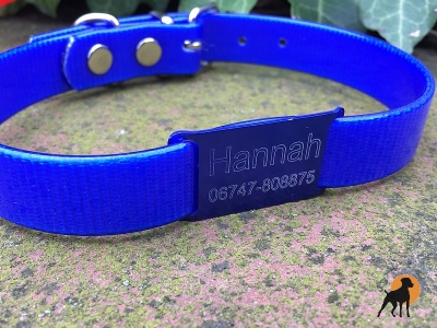 Halsband Gravurplatte / DogTag für Bänder bis 20mm, inkl. Wunschgravur