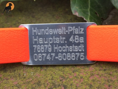 Halsband Gravurplatte / DogTag für Bänder bis 20mm, inkl. Wunschgravur