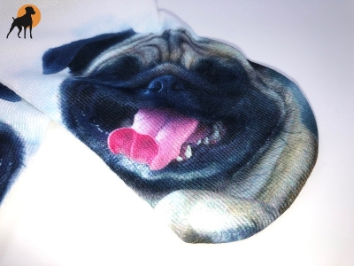 Sneaker-Motivsocken, Motiv: Mops, Einheitsgröße bis Gr. 38/39