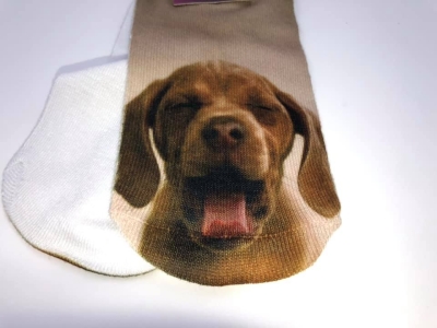 Preview: Sneaker-Motivsocken, Motiv: Magyar Vizsla, Einheitsgröße bis Gr. 38/39