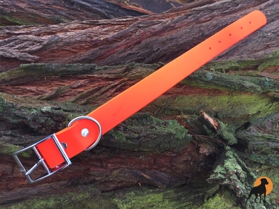 Biothane Beta Halsband XXL Classic, 38mm, Signalorange