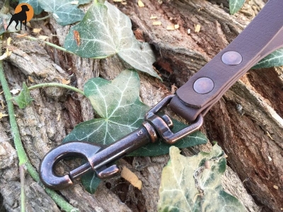 Biothane Beta Antik Kurzführer 16mm x 25cm m.HS