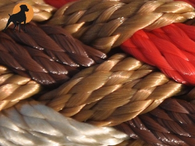 G2 Maßhalsband PRO mit ClicLock-Verschluß, Indian Summer