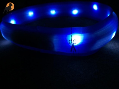 Flash USB Leuchtband L-XL, 70cm / 18mm, blau (Kurzhaar)