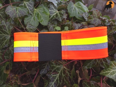 ZanTex Hundeschutzband 34/5cm dehnbar, Signalorange