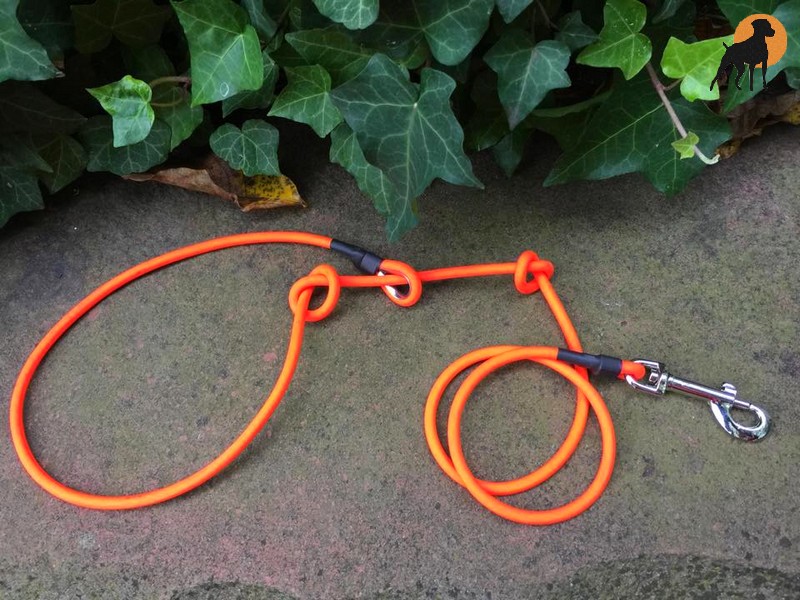 HWP Biothane Coated Rope Moxon Kurzführer 100cm x 6mm, mit Karabiner ...