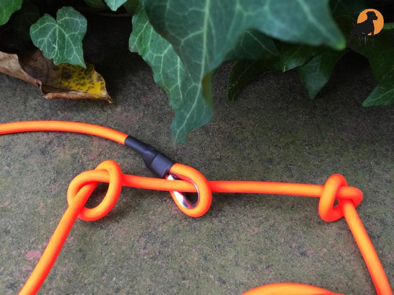 HWP Biothane Coated Rope Moxon Kurzführer 100cm x 6mm, mit Karabiner ...