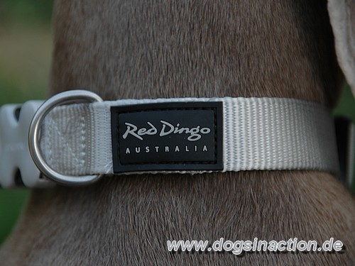 Red Dingo Halsband 25mm, 40-60cm, versch. Farben