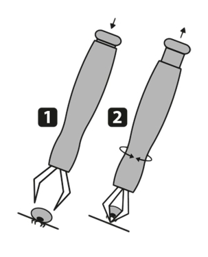 Zeckenzange aus Kunststoff (1 Stk.)