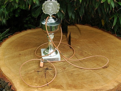 Rundleder Vorführleine 4mm x 160cm mit Stop